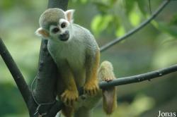 Chengdu Zoo