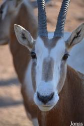 Terra Natura Murcia