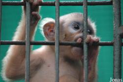 Chengdu Zoo