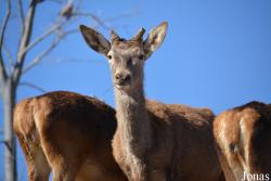Terra Natura Murcia