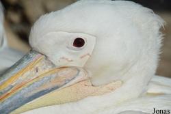 Terra Natura Benidorm