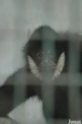 Chengdu Zoo