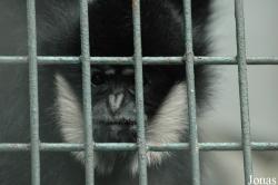 Chengdu Zoo