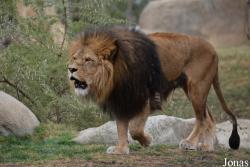 Bioparc Valencia