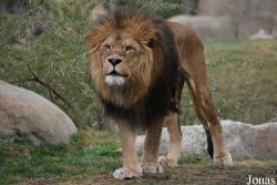Bioparc Valencia
