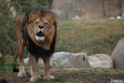 Bioparc Valencia