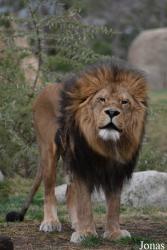 Bioparc Valencia
