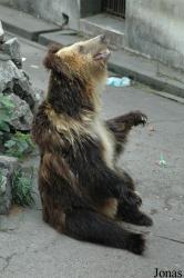 Chengdu Zoo