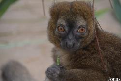 Kölner Zoo