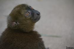 Kölner Zoo