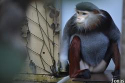 Kölner Zoo