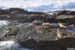 La Jolla