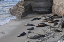La Jolla