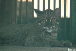 Chengdu Zoo