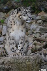 Zoologischer Stadtgarten Karlsruhe