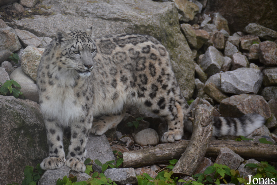 Zoologischer Stadtgarten Karlsruhe