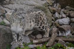 Zoologischer Stadtgarten Karlsruhe