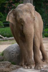 Zoologischer Stadtgarten Karlsruhe