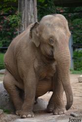 Zoologischer Stadtgarten Karlsruhe