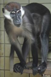 Zoologischer Stadtgarten Karlsruhe