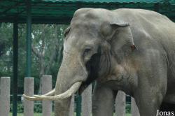 Chengdu Zoo
