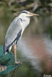 Parc Animalier de Sainte-Croix