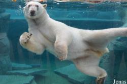 Parc Zoologique et Botanique de Mulhouse