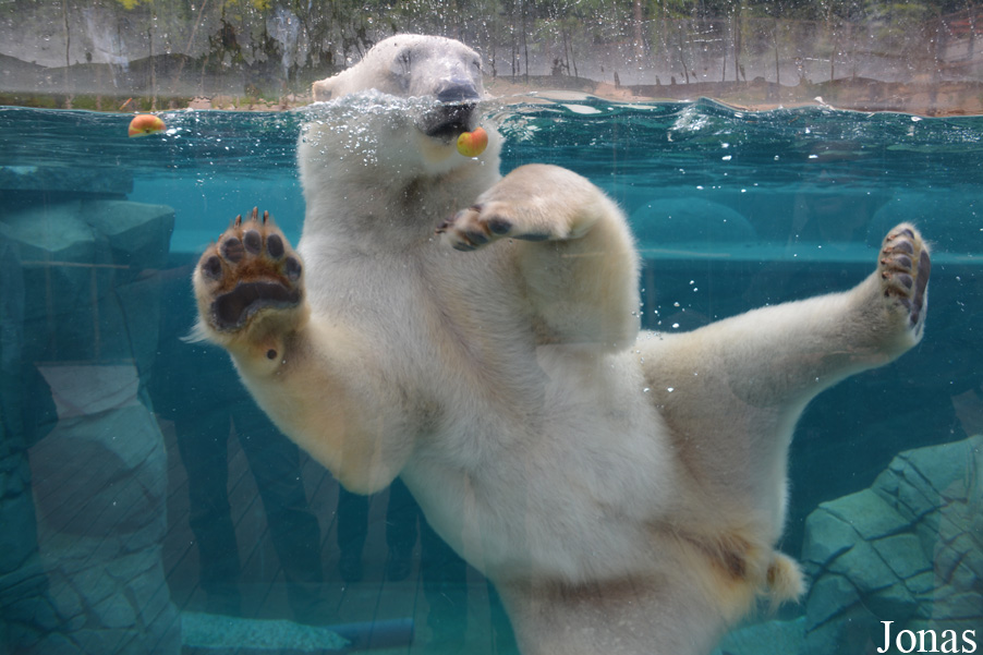 Parc Zoologique et Botanique de Mulhouse