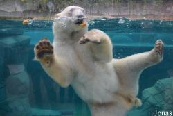 Parc Zoologique et Botanique de Mulhouse