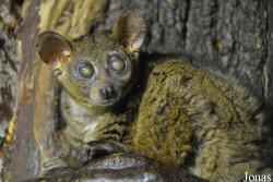 Zoo Bratislava