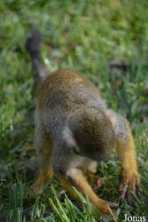 Zoo Győr