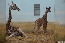 Zoo Veszprém
