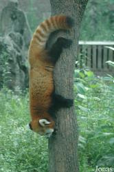 Chengdu Zoo