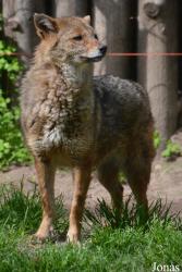 Zoo Palić