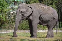 Zoo Palić