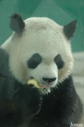Chengdu Zoo