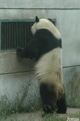 Chengdu Zoo