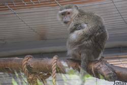 Grădina Zoologică Oradea