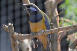 Hong Kong Zoological and Botanical Gardens