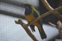 Hong Kong Zoological and Botanical Gardens