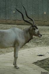 Chengdu Zoo