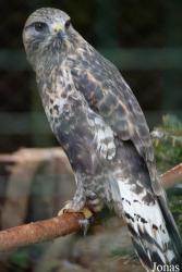 Zoo Bojnice