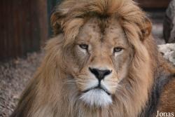 Zoo Bojnice