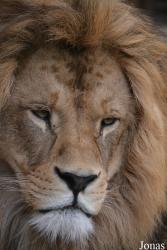 Zoo Bojnice
