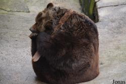 Zoo Bojnice