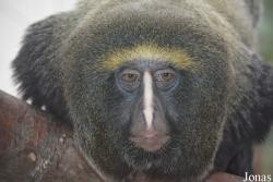 Zoo Bojnice