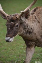 Zoo Bojnice