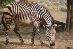 Zoo Bojnice