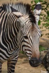 Zoo Bojnice