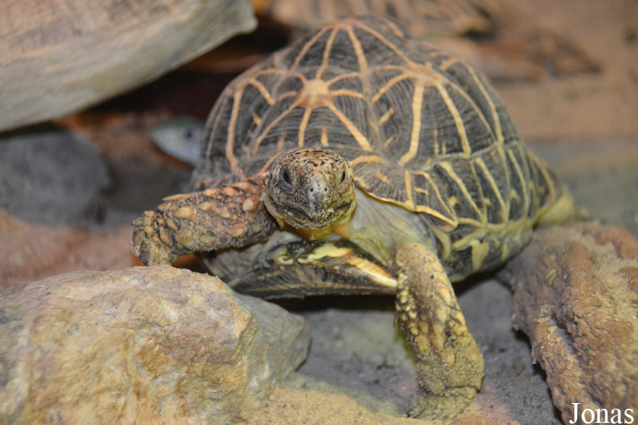 Zoo Bojnice